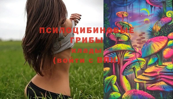 марихуана Абаза